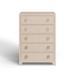 Birch Lane™ Cleo 5 - Drawer Raffia Chest Wood in Brown | 45 H x 32 W x 16 D in | Wayfair B3C5D93D17F94D72A391B7C22A15F20A