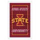 Iowa State Cyclones 14" x 22" Neolite LED Rectangle Wall Sign