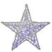 Northlight Seasonal 24" Pre-Lit Clear & Purple LED Color Changing Spun Glass Hanging Star Christmas Decoration | Wayfair HOFERT 4735-BC