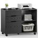 ZUNMOS Filing Cabinet 3-Drawer File Cabinet for Home Office Mobile Lateral Filing Cabinet Printer Stand with Open Storage Shelves for Kids Room Small Space