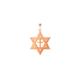 Men's Star of David Necklace in 9ct Rose Gold