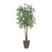 Vickerman 701577 - 6' Japanese Maple Deluxe Rnd Brown Cont (TDX1860-RB) Maple Home Office Tree