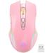 RGB Wireless Gaming Mouse Rechargeable Computer Mice with 5 Adjustable DPI Up to 3600 Ergonomic Laptop PC