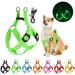 Gustave Light Up Dog Harness Rechargeable LED Reflective Pet Harness Collar Glow in the Dark Adjustable No Pull Dog Vest Harness for Small Medium Large Dogs Walking Training Green L