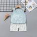 2Pcs Baby Girls Outfit Clearance Toddler Kids Baby Boys Girls Fashion Cute Sleeveless Vest ShortsPrint Casual Suit