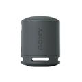 Sony SRSXB100B XB100 Compact Bluetooth Speaker - Black