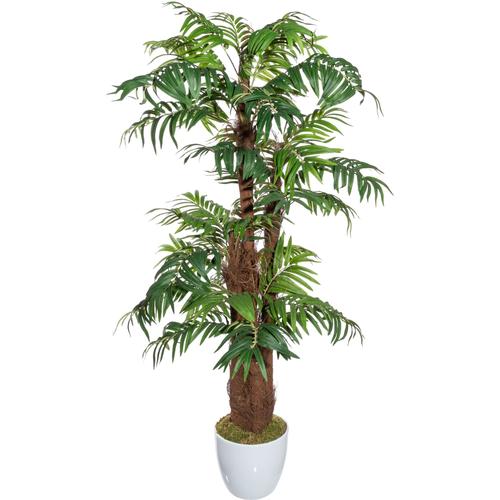 "Kunstbaum CREATIV GREEN ""Colocasia"" Kunstpflanzen Gr. Ø/H: 70 cm x 150 cm, 1 St., grün Kunst-Bäume im Topf"