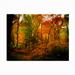 Millwood Pines J.D. Mcfarlan 'Deep Woods' Outdoor Canvas Wood/Canvas in White/Black | 35 H x 47 W x 1.5 D in | Wayfair