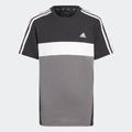 T-Shirt ADIDAS SPORTSWEAR "TIBERIO 3-STREIFEN COLORBLOCK COTTON KIDS" Gr. 152, schwarz (black, grey five, white) Kinder Shirts T-Shirts