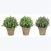 Youngs 12610 Artificial Flowers in Planter - 3 Assorted