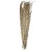 Primrue Palm Floral Arrangement | 43.31 H x 3.94 W x 0.59 D in | Wayfair 2B5B657A396449138FCD1315EAF48332