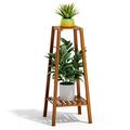 Arlmont & Co. 2 Tier Bamboo Tall Plant Stand Small Space Flower Pot Storage Shelf Display Living Room Wood/Solid Wood in Brown | Wayfair