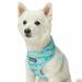 Soft & Comfy Seahorse and Friends Print Adjustable Dog Harness Vest, Small