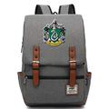 MMZ Harry Potter Backpack for Boys Lightweight Book Bag Multifunctional Children's Lunch Bag Slytherin Gray