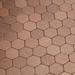 Speed tiles Hexagonia 12" x 11" Metal Peel & Stick Mosaic Tile Metal in Brown | Wayfair ID100HDC025