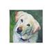 Stupell Industries Labrador Dog Pet Portrait Wall Plaque Art By Lindsay Kivi Fine Art-au-854 in Green/White | 12 H x 12 W x 0.5 D in | Wayfair