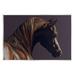 Stupell Industries Dark Horse Animal Portrait Wall Plaque Art By Kim Mcelroy-au-965 in Black/Brown | 13 H x 19 W x 0.5 D in | Wayfair