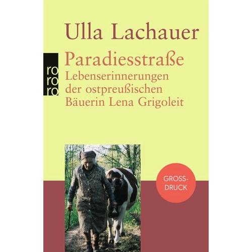 Paradiesstraße. Großdruck – Ulla Lachauer