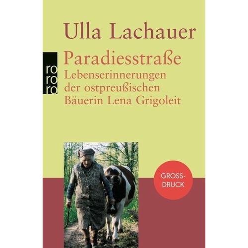 Paradiesstraße. Großdruck – Ulla Lachauer