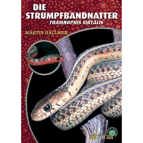 Die Strumpfbandnatter – Martin Hallmen