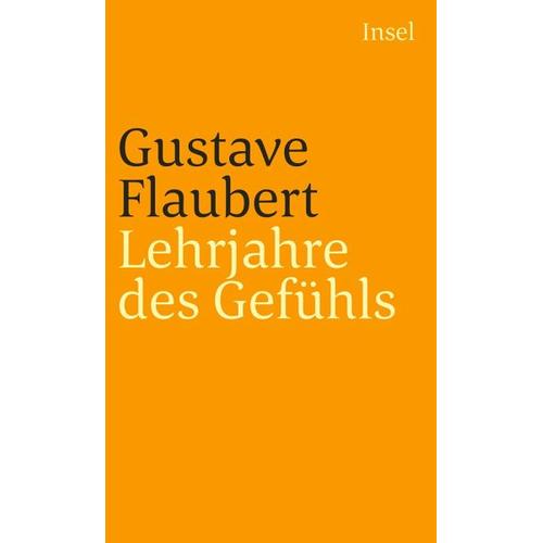 Lehrjahre des Gefühls – Gustave Flaubert