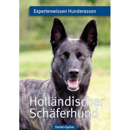 Holländischer Schäferhund - Sandy Kien