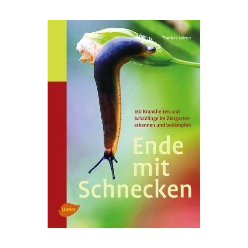 Ende mit Schnecken – Thomas Lohrer