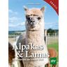 Alpakas & Lamas - Johanna Czerny