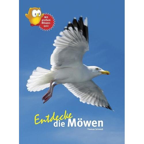 Entdecke die Möwen – Thomas Schmidt