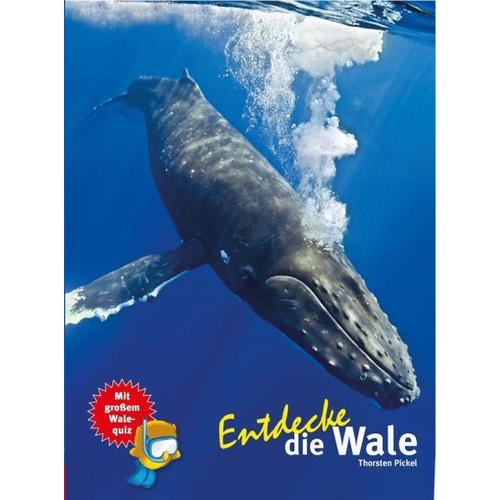 Entdecke die Wale – Dr. Thorsten Pickel