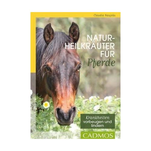 Naturheilkräuter für Pferde – Claudia Naujoks