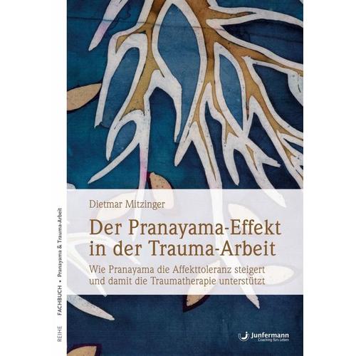 Der Pranayama-Effekt in der Trauma-Arbeit - Dietmar Mitzinger