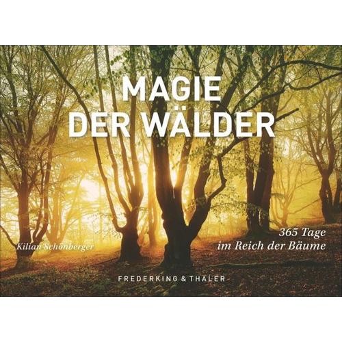 Tischaufsteller Magie der Wälder - Kilian Schönberger