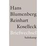 Briefwechsel 1965-1994 - Hans Blumenberg, Reinhart Koselleck