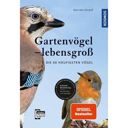 Gartenvögel lebensgroß - Daniela Strauß