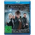 Phantastische Tierwesen 2 - Grindelwalds Verbrechen - Kinofassung (Blu-ray) (Blu-ray Disc) - Warner Home Video