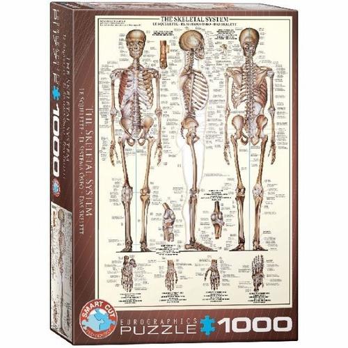 Eurographics 6000-3970 - Das Skelett , Puzzle, 1.000 Teile - Eurographics