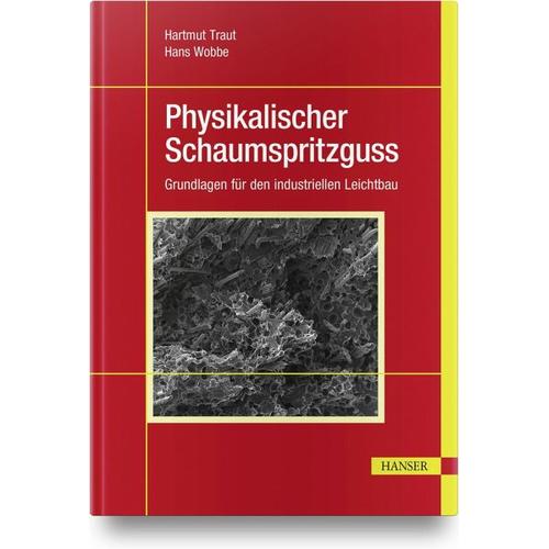 Physikalischer Schaumspritzguss – Hartmut Traut, Hans Wobbe