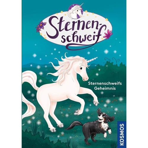 Sternenschweifs Geheimnis / Sternenschweif Bd.5 - Linda Chapman