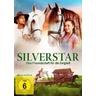 Silverstar (DVD) - Dolphin Medien & Beteiligungs GmbH