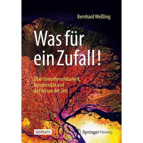 Was für ein Zufall! – Bernhard Weßling