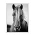 Stratton Home Decor Black and White Wild Horse Framed Canvas Wall Art