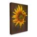 Stupell Industries Au-735-Canvas Modern Detailed Sunflower Petals On Canvas by Kelley Parker Painting in Brown/Green/Yellow | Wayfair