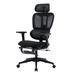 Inbox Zero Ouida High Back Executive Mesh Office Chair Ergonomic Computer Desk Chair Upholstered in Black | 52.56 H x 30.31 W x 29.13 D in | Wayfair