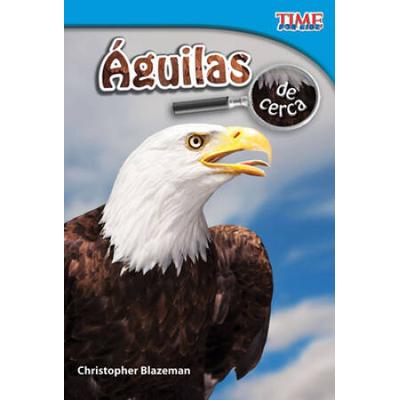 Eagles Up Close