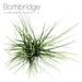 Bornbridge 22.5" Faux Onion Grass Grass in Planter in White | 22.5 H x 5 W x 5 D in | Wayfair BB-GR22-1W