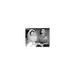 Smiling Elizabeth Taylor & Robert Taylor Sitting in Car - Unframed Photograph Paper in Black/White Globe Photos Entertainment & Media | Wayfair