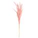 Primrue 6 - Piece Preserved Pampas Grass Plant Set | 46 H x 4.75 W x 3 D in | Wayfair 075393C42E3744629B17DB6B75706CAB