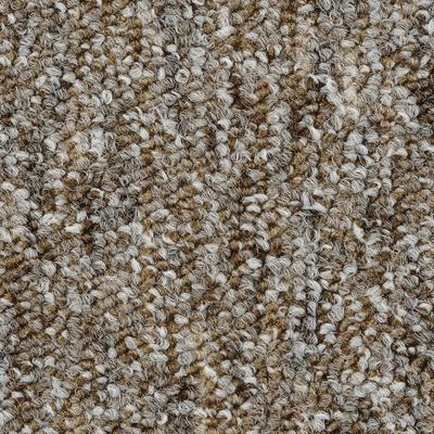 Teppichboden BODENMEISTER "Heilbronn, Schlinge - meliert, Made in Belgium", beige (beige braun), B:500cm H:7,2mm L:850cm, Polyamid, Teppiche, Wohnzimmer, Kinderzimmer, Schlafzimmer, Breite 200/300/400/500 cm Image