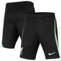 Youth Nike Black Liverpool 2023/24 Performance Strike Shorts